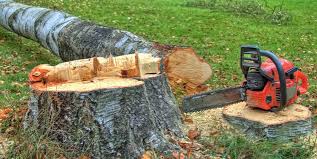 Best Utility Line Clearance  in Delphi, IN